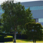 東御市　工場解体